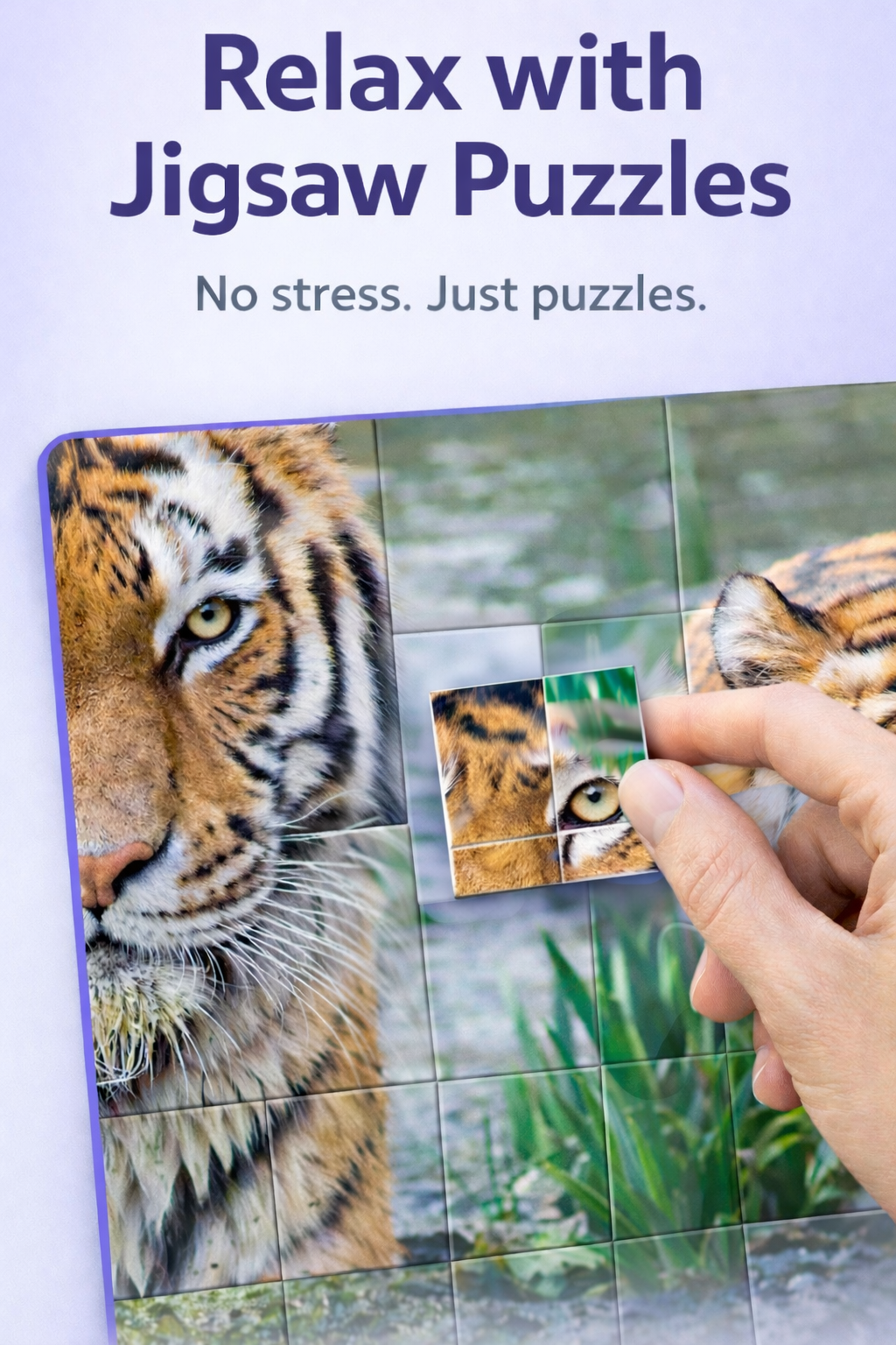 Jigsaw Puzzle